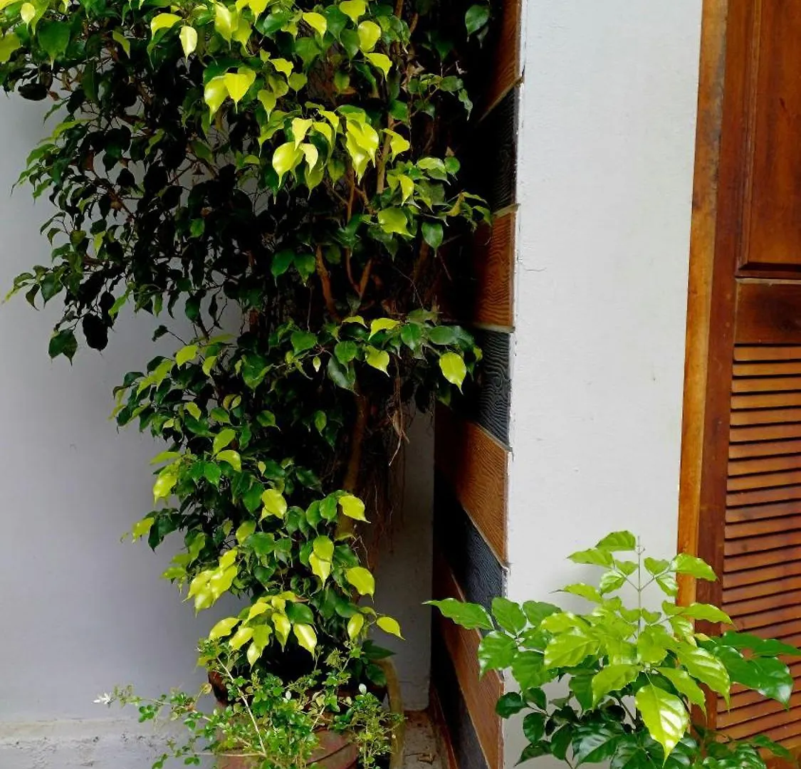 White Shore Beach Homestay Alappuzha